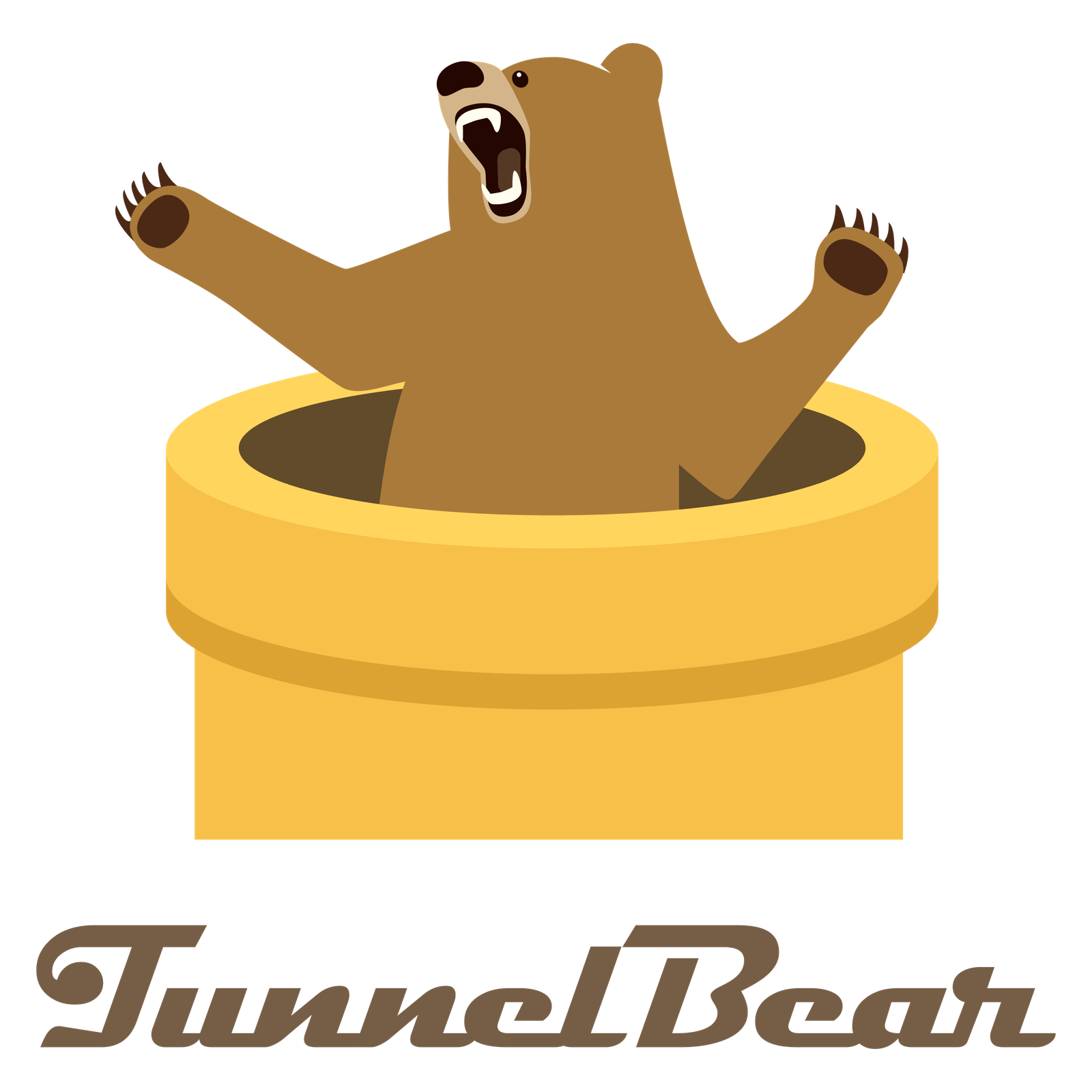 TunnelBear VPN review