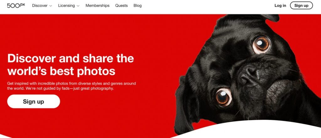 Photographer Web Hosting Needs: Key Features for Optimal Image Integrity